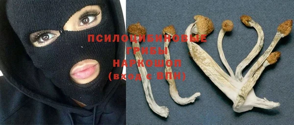 кокс Алексеевка